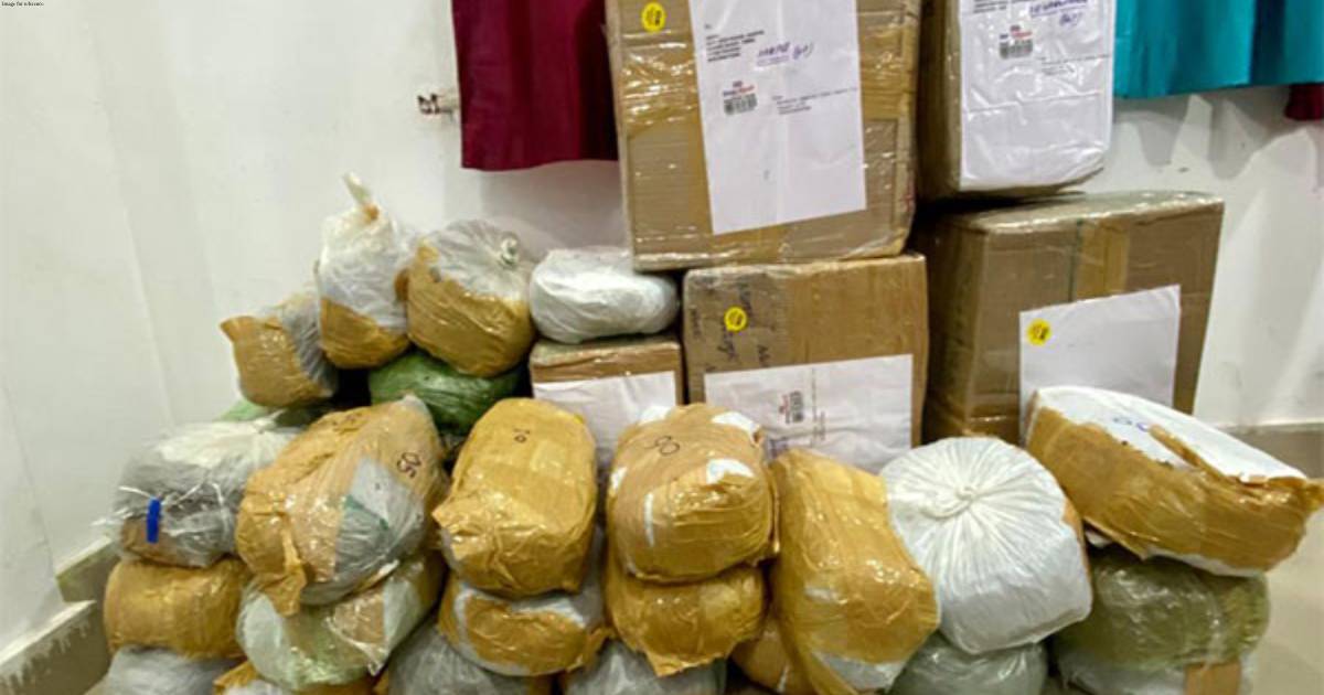 NCB Indore busts interstate drug smuggling racket, 130 kg ganja seized